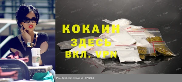 стафф Армянск