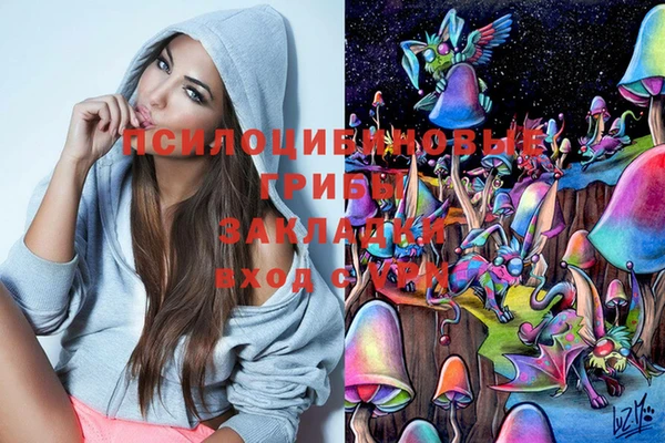 стафф Армянск