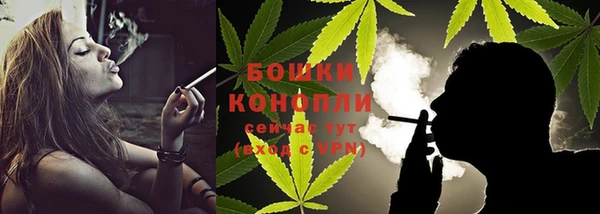 PSILOCYBIN Аркадак