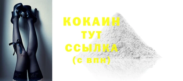 PSILOCYBIN Аркадак