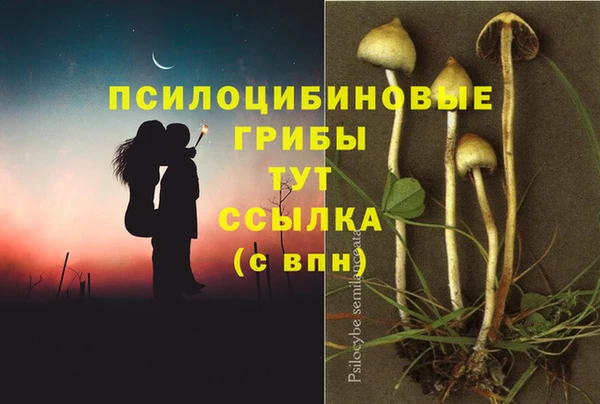 кокс Арсеньев
