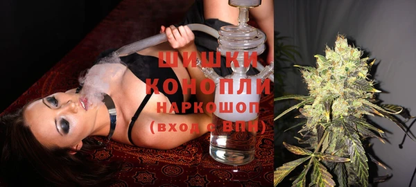 PSILOCYBIN Аркадак
