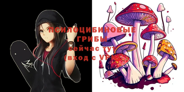 PSILOCYBIN Аркадак