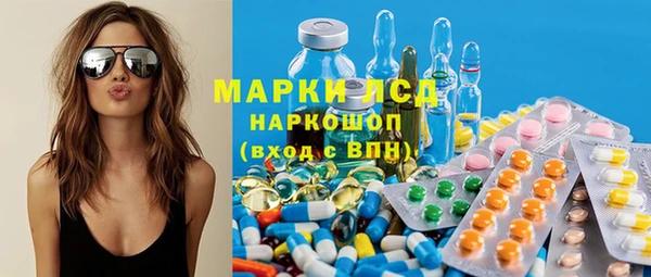 PSILOCYBIN Аркадак